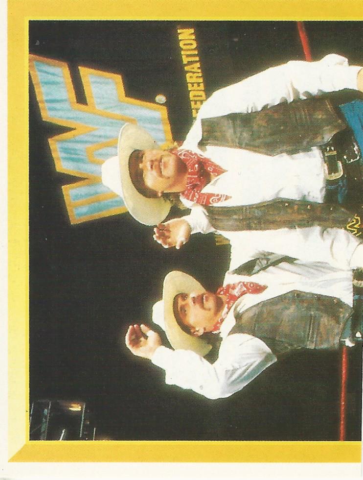 WWF Merlin Sticker Collection 1994 Smoking Gunns No.286