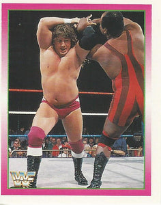 WWF Merlin Stickers 1995 Bruce Pritchard No.288