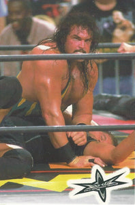 WCW Crazy Planet Stickers 1999 Wrath