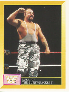 WWF Merlin Sticker Collection 1994 Bushwhackers No.291