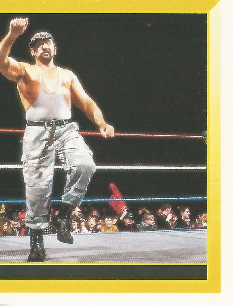 WWF Merlin Sticker Collection 1994 Bushwhackers No.293