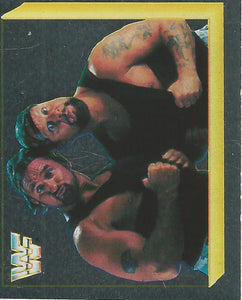 WWF Merlin Sticker Collection 1994 Bushwhackers No.295