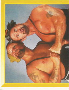 WWF Merlin Sticker Collection 1994 Bushwhackers No.296