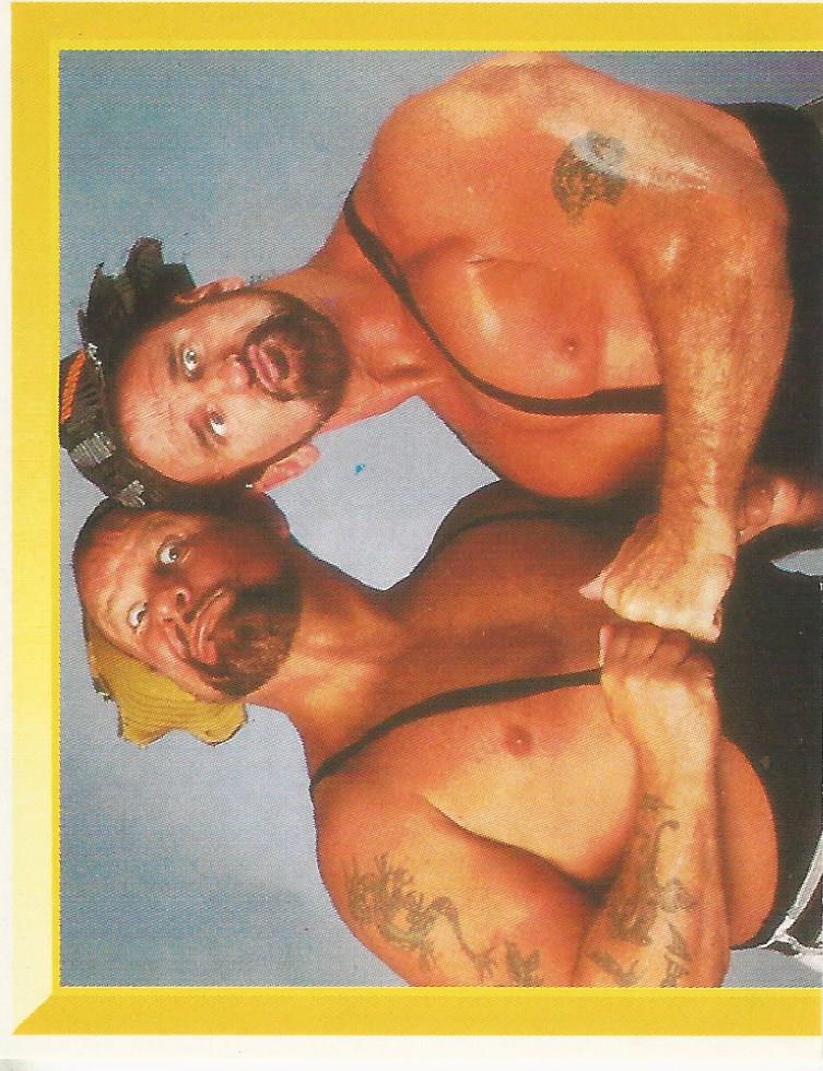 WWF Merlin Sticker Collection 1994 Bushwhackers No.296