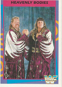 WWF Merlin Trading Card 1995 Heavenly Bodies No.29