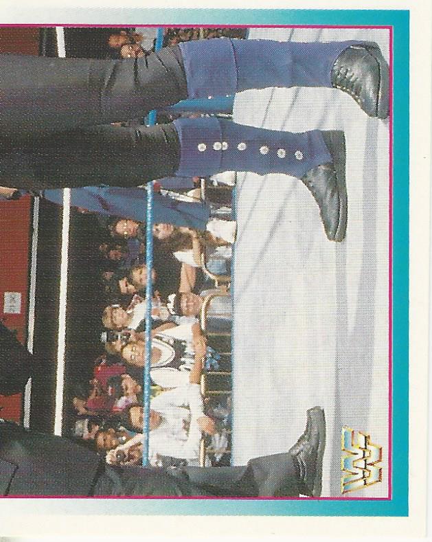 WWF Merlin Stickers 1995 Undertaker No.29