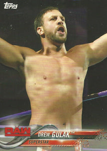 WWE Topps 2018 Trading Cards Drew Gulak No.29