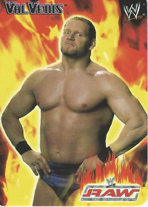 WWE Smackdown 2004 Tesla Trading Cards Val Venis No.29