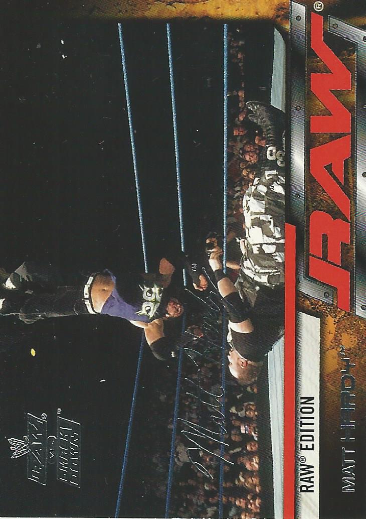 WWE Fleer Raw vs Smackdown Trading Card 2002 Matt Hardy No.29