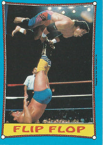 Topps WWF Wrestling Cards 1987 Rougeau Brothers No.29