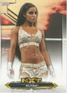 WWE Topps NXT 2020 Trading Cards Aliyah No.2