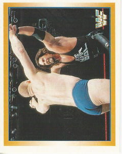 WWF Merlin Stickers 1995 Diesel No.2