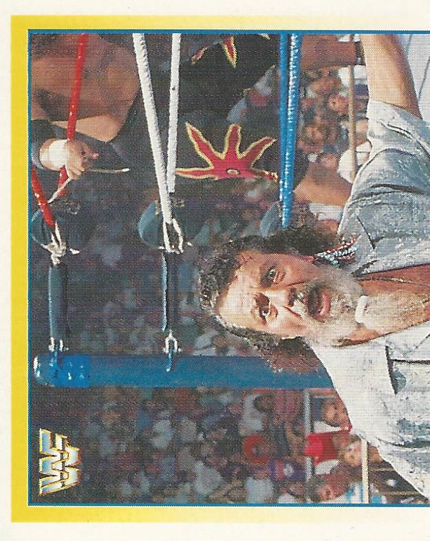 WWF Merlin Stickers 1995 Captain Lou Albano No.301