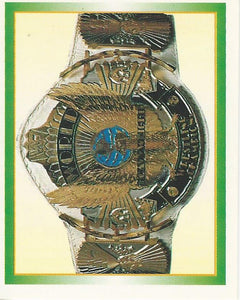WWF Merlin Stickers 1995 No.303