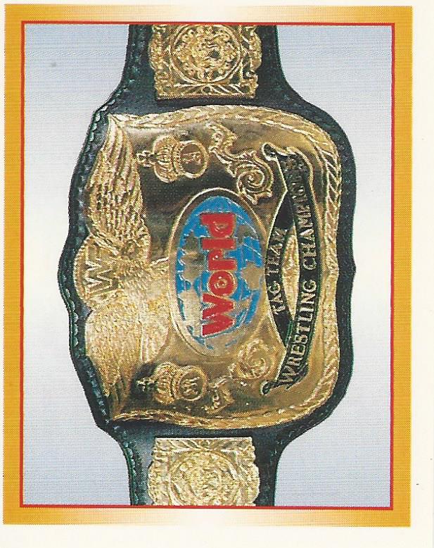 WWF Merlin Stickers 1995 No.305
