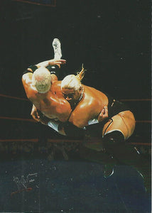 WWF No Mercy Trading Cards 2000 Rikishi No.40