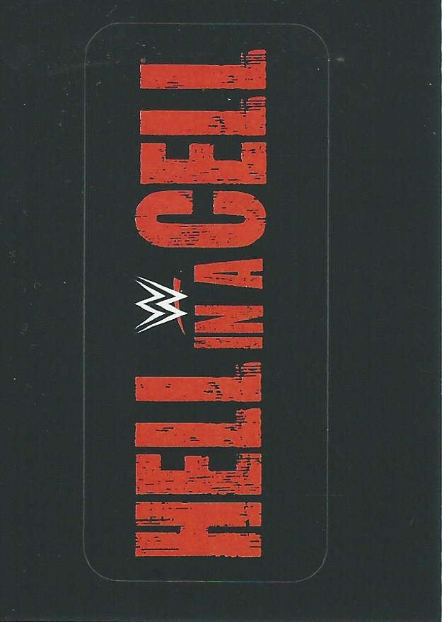 WWE Panini 2022 Sticker Collection No.317