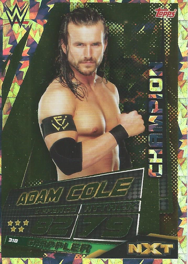 WWE Topps Slam Attax Universe 2019 Trading Card Adam Cole No.318