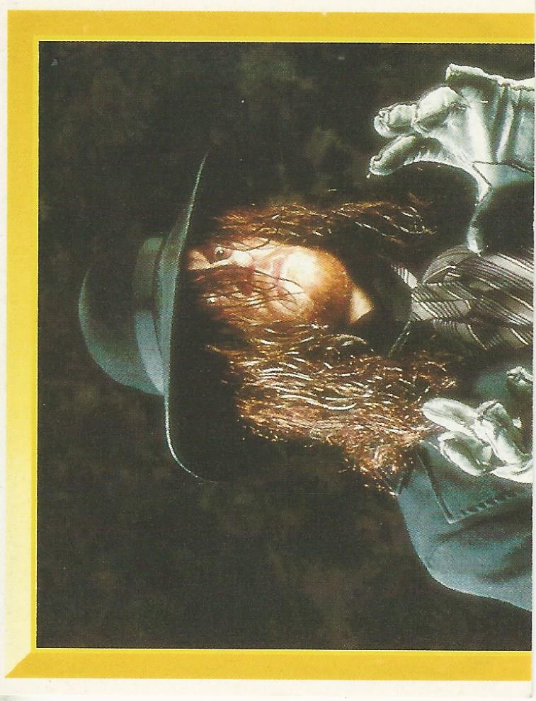 WWF Merlin Sticker Collection 1994 Undertaker No.31