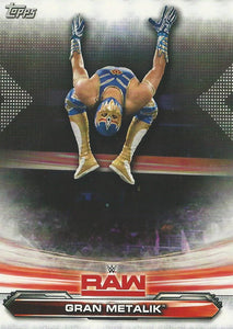 WWE Topps Raw 2019 Trading Card Gran Metalik No.32