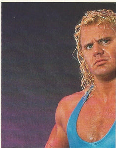 WWF Merlin Stickers 1991 Mr Perfect No.332