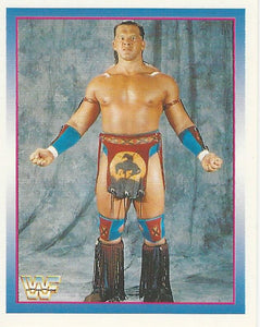 WWF Merlin Stickers 1995 Tatanka No.33