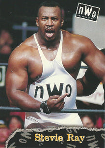 WCW/NWO Topps 1998 Trading Card Stevie Ray No.34