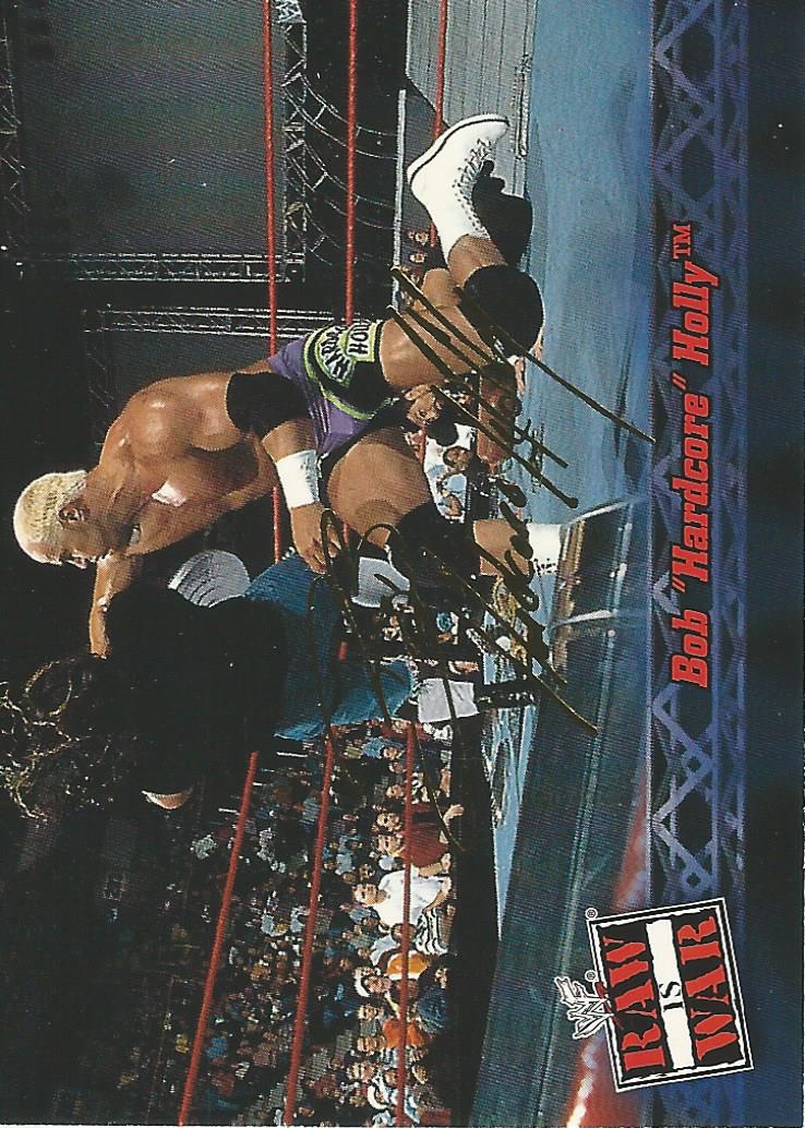 WWF Fleer Raw 2001 Trading Cards Hardcore Holly No.34
