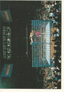WWF Panini 1995 Sticker Collection Bret Hart No.34