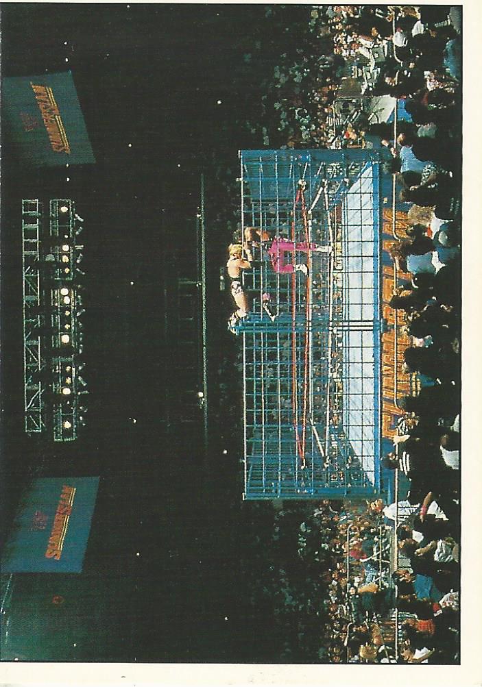 WWF Panini 1995 Sticker Collection Bret Hart No.34