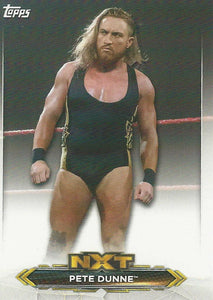 WWE Topps NXT 2020 Trading Cards Pete Dunne No.35