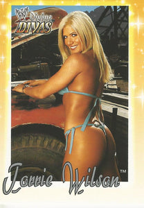 WWE Fleer Divine Divas Trading Card Torrie Wilson No.35