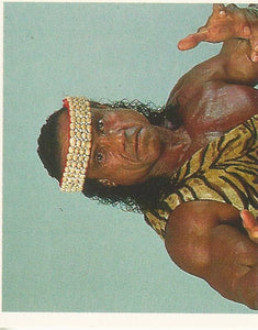 WWF Merlin Stickers 1991 Jimmy Snuka No.376