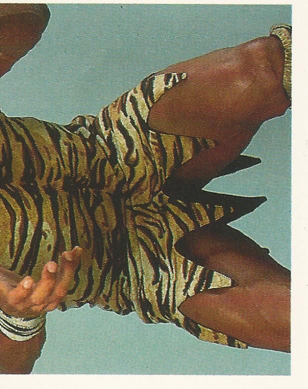WWF Merlin Stickers 1991 Jimmy Snuka No.377