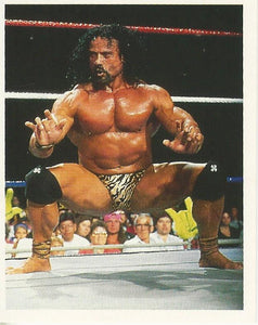 WWF Merlin Stickers 1991 Jimmy Snuka No.378