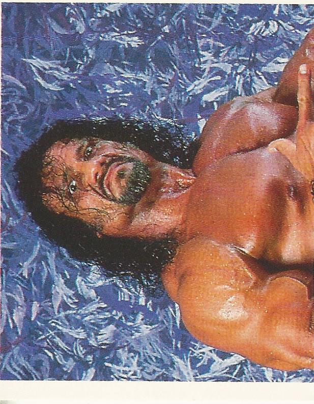 WWF Merlin Stickers 1991 Jimmy Snuka No.379