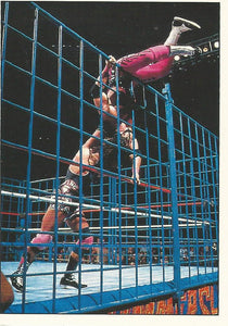 WWF Panini 1995 Sticker Collection Bret Hart vs Owen Hart No.37