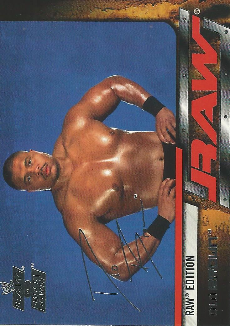 WWE Fleer Raw vs Smackdown Trading Card 2002 D-Lo Brown No.37