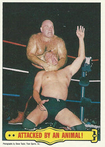 WWF Topps Wrestling Cards 1985 George Steele No.37