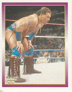 WWF Merlin Stickers 1995 Tatanka No.37