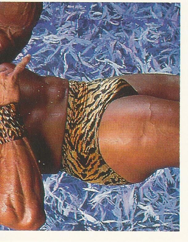WWF Merlin Stickers 1991 Jimmy Snuka No.380
