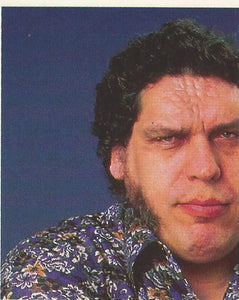 WWF Merlin Stickers 1991 Andre the Giant No.382