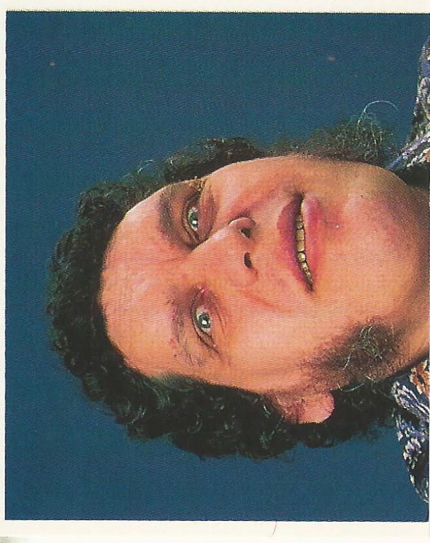 WWF Merlin Stickers 1991 Andre the Giant No.387