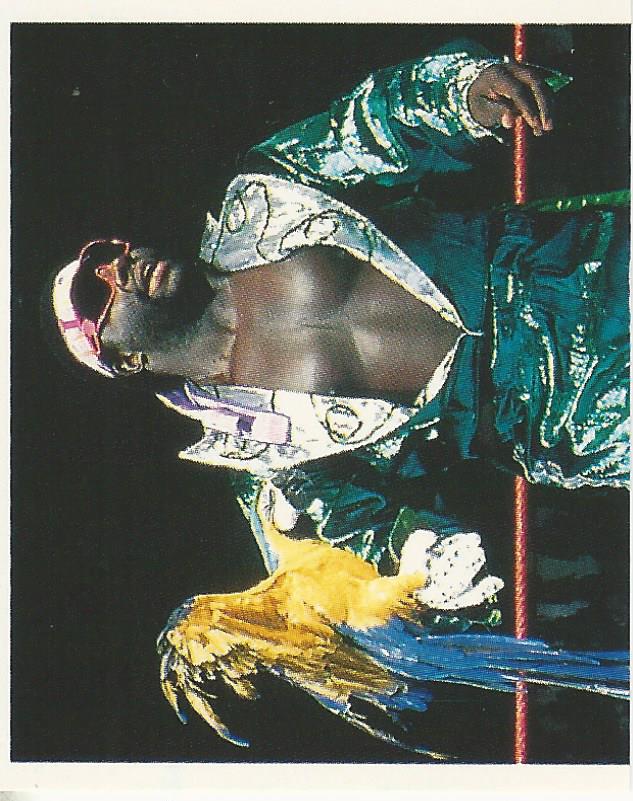 WWF Merlin Stickers 1991 Koko B Ware No.394