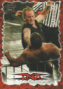 TNA Pacific Trading Cards 2004 Sandman No.39