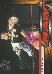 WWE Fleer Raw vs Smackdown Trading Card 2002 Shawn Stasiak No.39