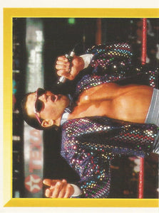 WWF Merlin Sticker Collection 1994 Rick Martel No.39