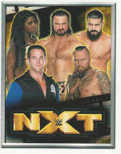 WWE Topps 2018 Stickers NXT Roster No.3