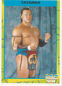 WWF Merlin Trading Card 1995 Tatanka No.3