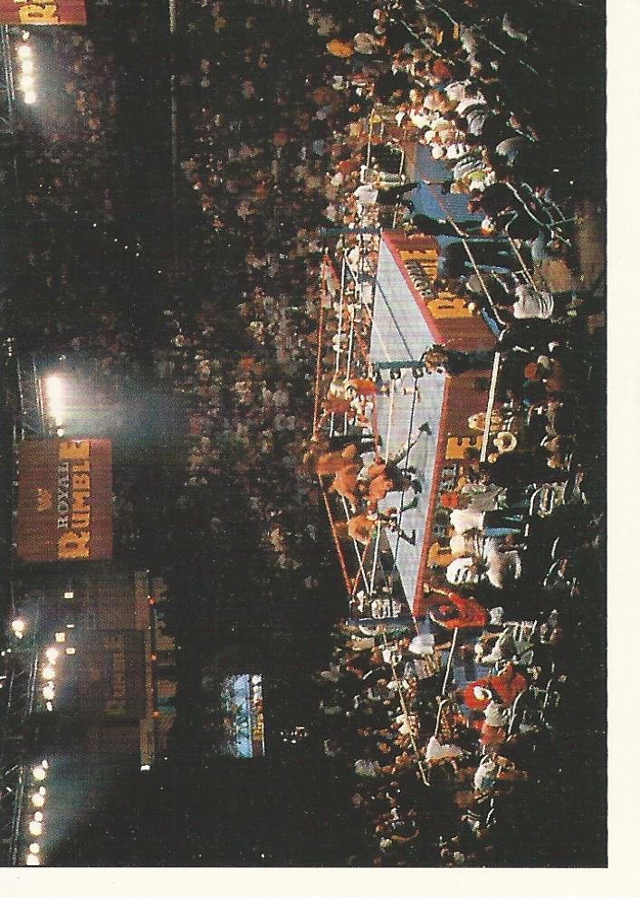 WWF Panini 1995 Sticker Collection Crowd No.3